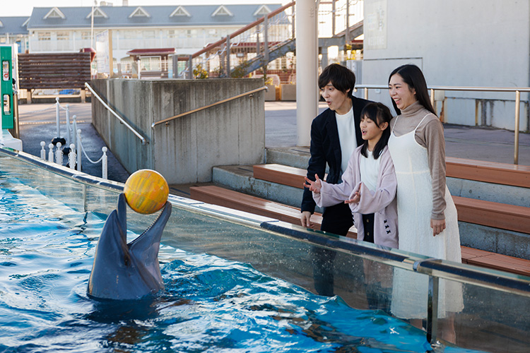 開館前のふれあいラグーンをご見学
