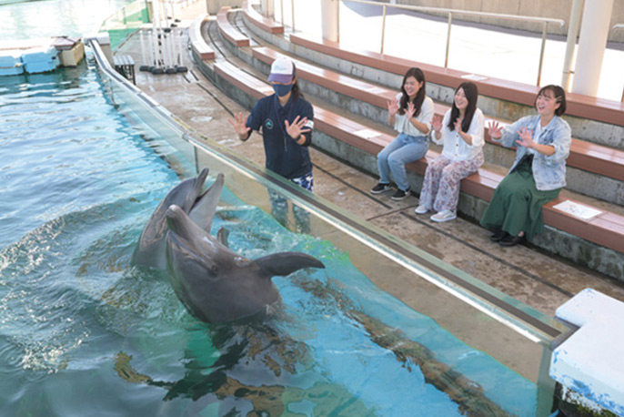 開館前のふれあいラグーンをご見学