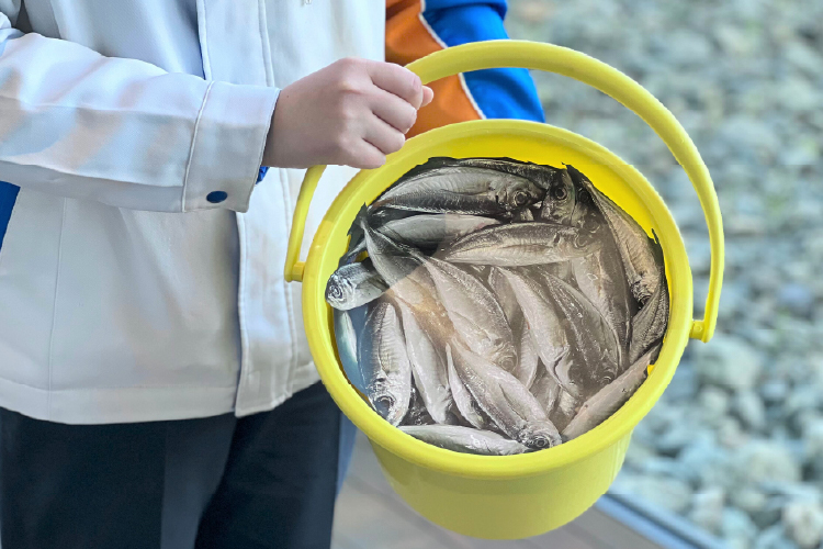 エサが入っている時の重さを体験できるバケツ