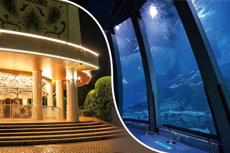 楽園ナイトパス